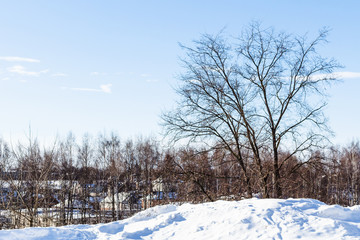 winter landscape in Suzdal town in sunny day