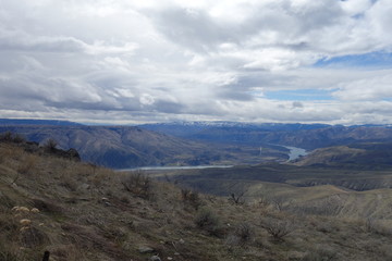 Springtime in the Pacific Northwest