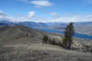 Springtime in the Pacific Northwest