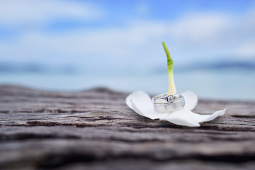 Wedding rings with wooden table on the beach background