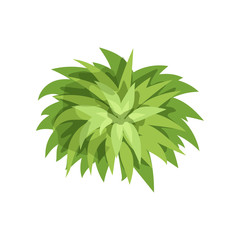 Fototapeta na wymiar Summer green plant, landscape natural design element, top view vector Illustration on a white background