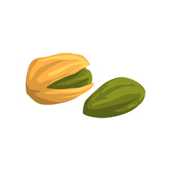 Pistachio nut, nutritious natural product vector Illustration on a white background