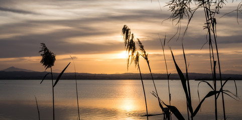 Atardecer Albufera