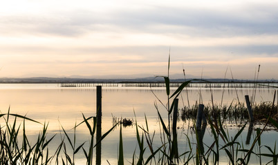 Atardecer Albufera