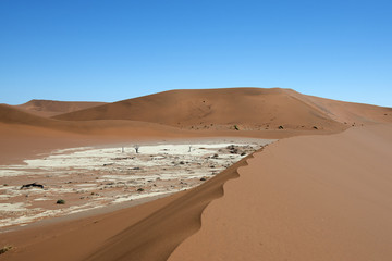 Fototapeta na wymiar Deadvlei (Namibia)