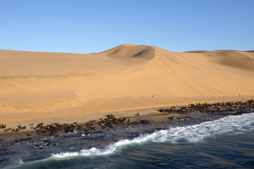 Wüste trifft Küste, Seehundkolonie, Luftaufnahme (Namibia)