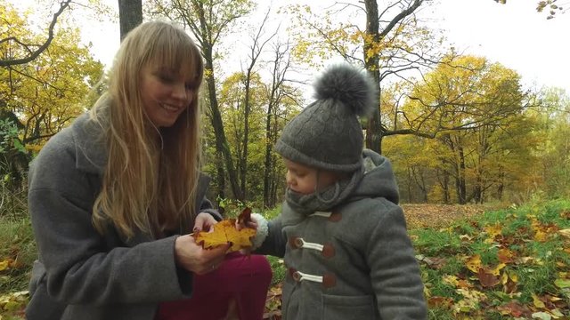 mother and daughter collect autumn leaves in the park