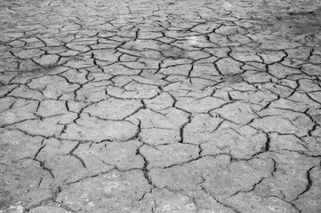The texture of the cracking of the earth. Black and white image