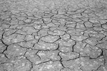 The texture of the cracking of the earth. The concept of using natural resources. Black and white image