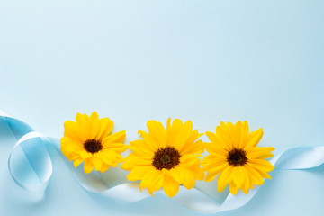 ひまわりの花と水色のリボンのプレゼントのイメージ