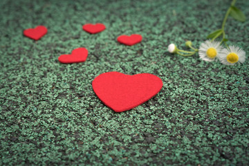 Fototapeta premium red heart and cute flower on the green walking path backgrounds with copy space