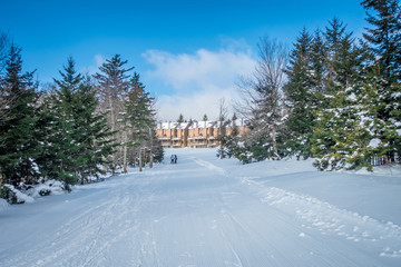 beautiful nature and scenery around snowshoe ski resort in cass west virginia
