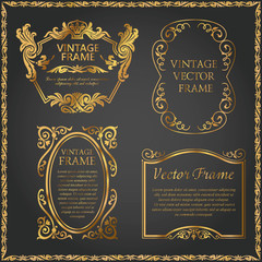 Vintage decorative element gold set