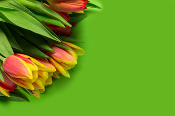 Bouquet of Tulips on green background, copy space