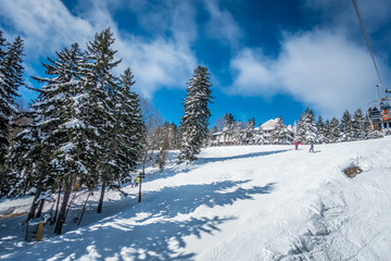 Fototapeta na wymiar beautiful nature and scenery around snowshoe ski resort in cass west virginia