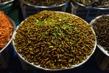 Cambodian night street food market with dried and grilled  larvae