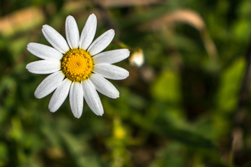 Obraz premium Penacova, Coimbra, Portugal