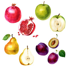 Watercolor illustration, set. Image of fruits, pomegranate, plum, apple and pear