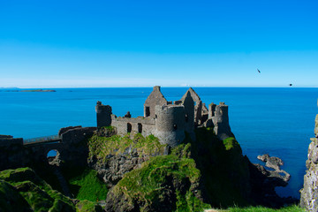 Fototapeta na wymiar old medieval Dunluce castle against blue ocean water and sky during sunny day 