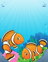 Fototapeta na wymiar Clownfish topic image 5