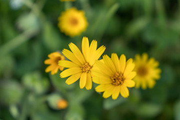 Penacova, Coimbra, Portugal