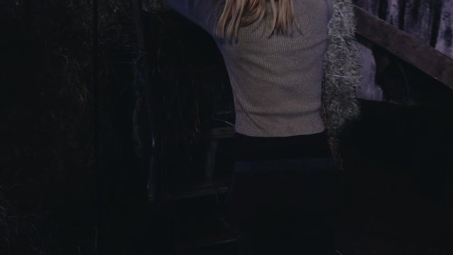 Working at the Stable