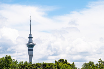 Obraz premium Auckland Skytower over the green trees with clouds and blue sky.
