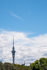 Obraz premium Auckland Skytower over the green trees with clouds and blue sky.