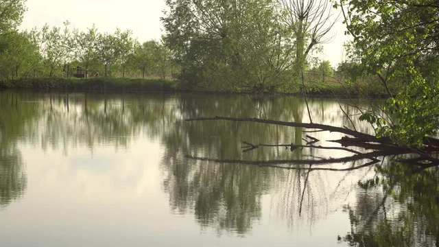Beautiful Spring Lake 