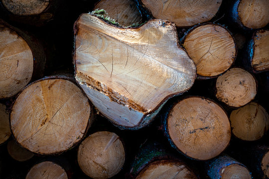 Close up of a pile of timber with sunlight shining in the center.