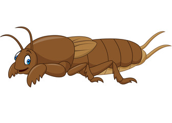 Cartoon mole cricket