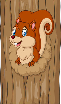 Cartoon squirrel in the tree hole