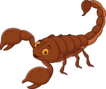 Cartoon happy scorpion