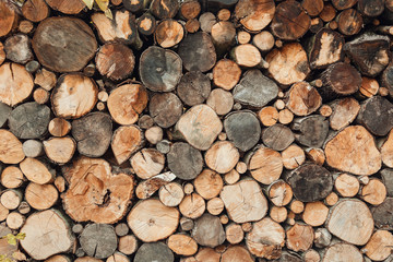 background of round spilled wood