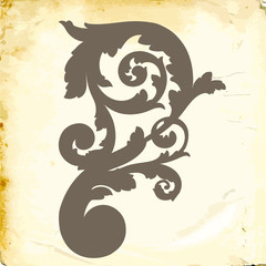 Vector baroque of vintage elements for design. 