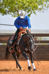 The front view of a rider in jeans, cowboy chaps and checkered shirt on a reining horse galloping in the red clay an arena.