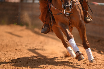 The rider on a reining horse slides to a stop in the red clay an arena. - obrazy, fototapety, plakaty