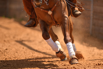 The front view of a rider on a reining horse galloping in the red clay an arena. - obrazy, fototapety, plakaty