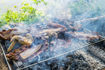 Meat on the grill in nature 