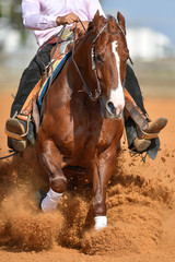 The front view of a rider in jeans, cowboy chaps and checkered shirt on a reining horse slides to a stop in the red clay an arena.