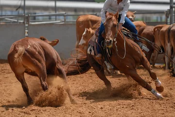 Keuken foto achterwand Paardrijden Cowboy in hoed, spijkerbroek en geruit hemd die haar paard berijdt in een wedstrijd voor het snijden van kalveren.