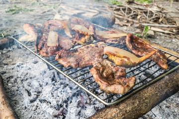 Meat on the grill in nature 