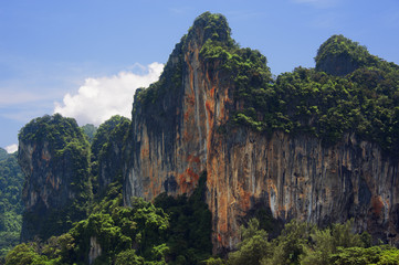 mountain cliff with forest