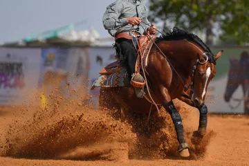 Foto auf Acrylglas Reiten Die Seitenansicht eines Reiters in Cowboy-Chaps und Stiefeln auf einem Pferd, das das Pferd im Staub stoppt.
