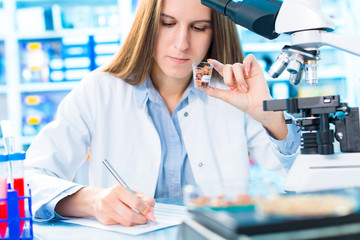 Selective and genetic work with seeds and grains in a scientific laboratory. Food quality control