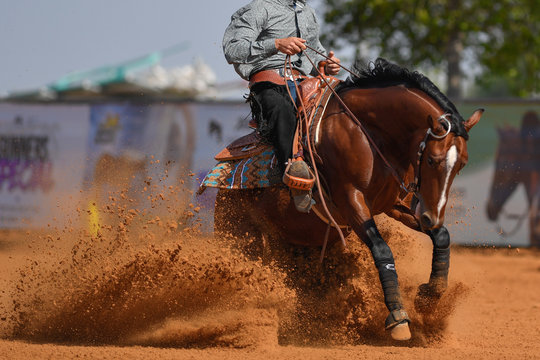 The side view of a rider in cowboy chaps and boots on a horseback stopping the horse in the dust.
