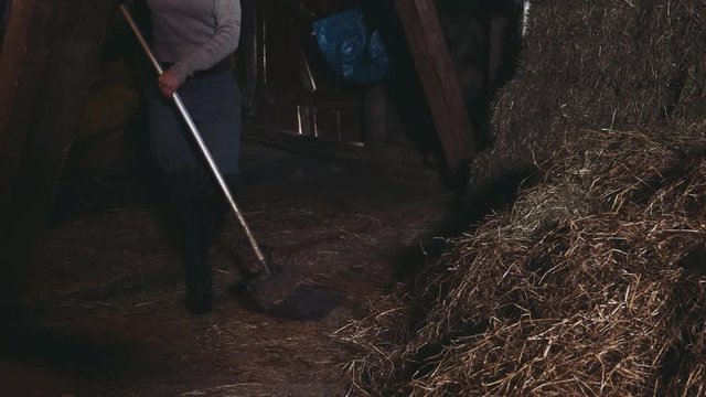 Working at the Stable