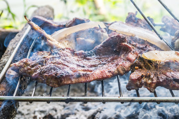 Meat on the grill in nature 