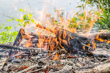 Preparing fire barbecue in nature