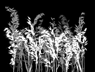 grey and white oats silhouettes on black
